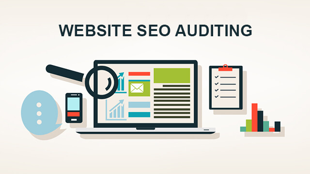 SEO Audit Norman Park